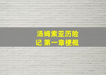 汤姆索亚历险记 第一章梗概